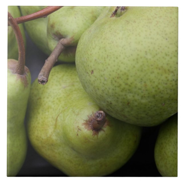 Pears Large Ceramic Photo Tile (Front)