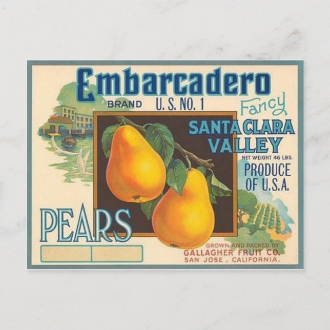 Pears Postcard (Front)