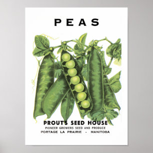 Peas Vintage Seed Packet Poster