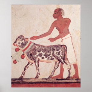Peasant leading a cow to sacrifice poster