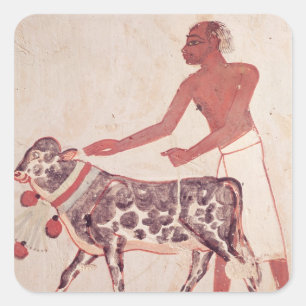 Peasant leading a cow to sacrifice square sticker