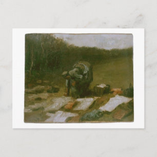Peasant Woman Laundering, Vincent van Gogh Postcard