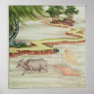 Peasant working in the paddy fields poster