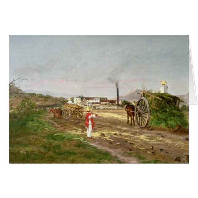 Peasants Collecting Sugar Cane (Front Horizontal)