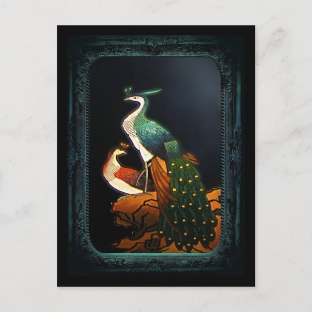 PeaSoot  Postcard (Front)