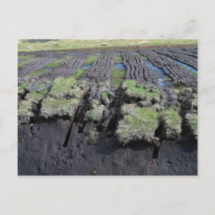 Peat Cutting In Ireland Postcard