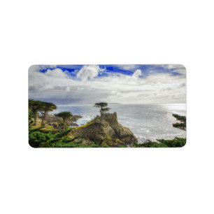 Pebble Beach California Ocean View Label