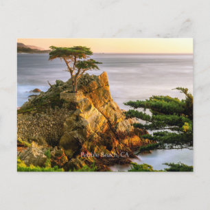 Pebble Beach, California Postcard