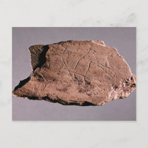 Pebble depicting a man being attacked by a bea postcard