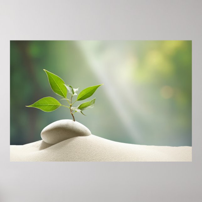 Pebble Plant Tranquil Peaceful Nature  Poster (Front)
