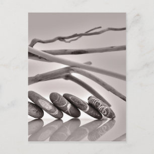 Pebbles and driftwood postcard