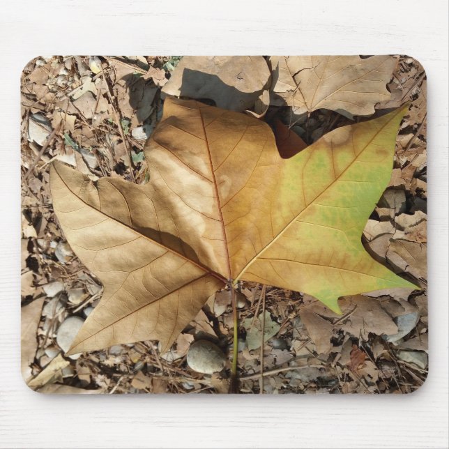pebbles and leaves mouse mat (Front)