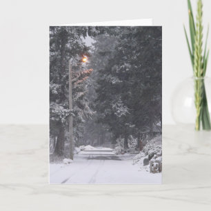 Pebbles Beach Winter Scene 1 Holiday Card