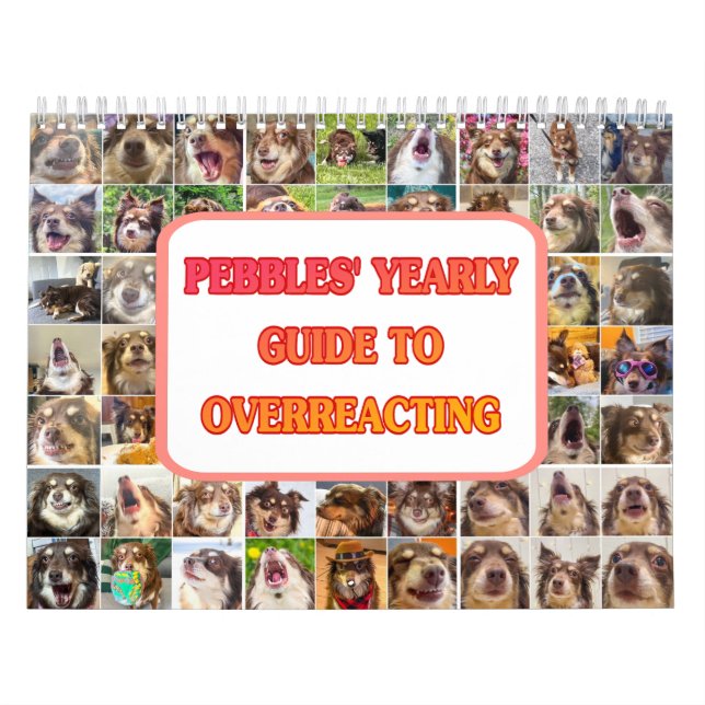 Pebbles' Calendar (Cover)