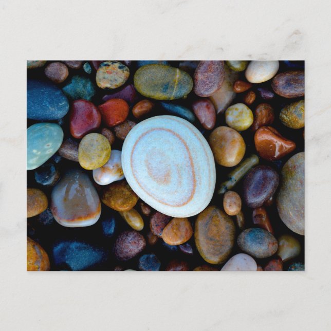 Pebbles (on Findhorn Beach) Postcard (Front)