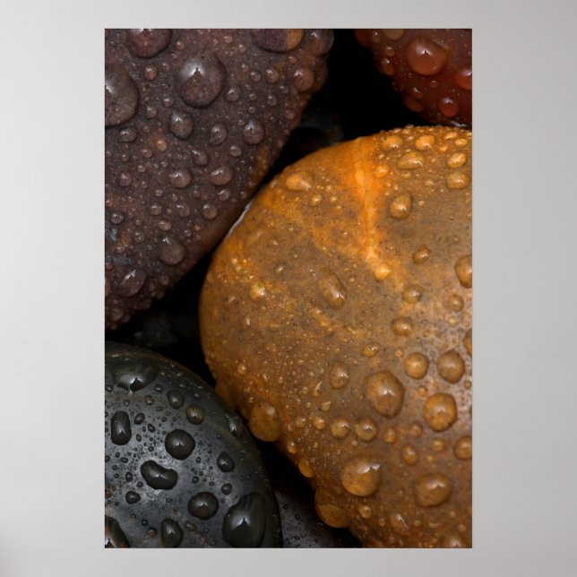 Pebbles with Water Droplets Poster (Front)