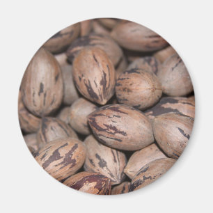 Pecan Magnet