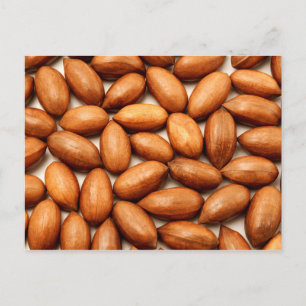 Pecan nuts postcard