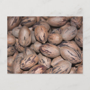 Pecan Postcard