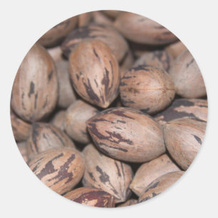 Pecan Stickers
