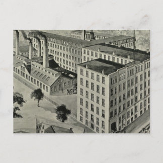 Peck Bros & Co Postcard