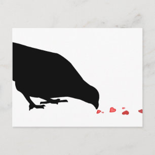 pecking order. postcard