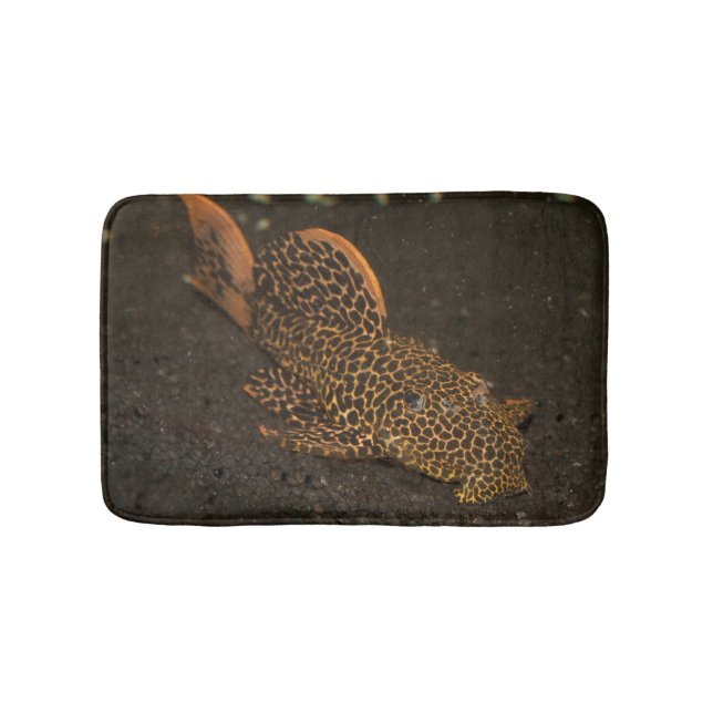 Peckoltia Compta Bath Mat (Front)