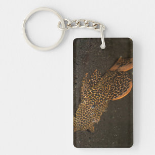 Peckoltia Compta Key Ring