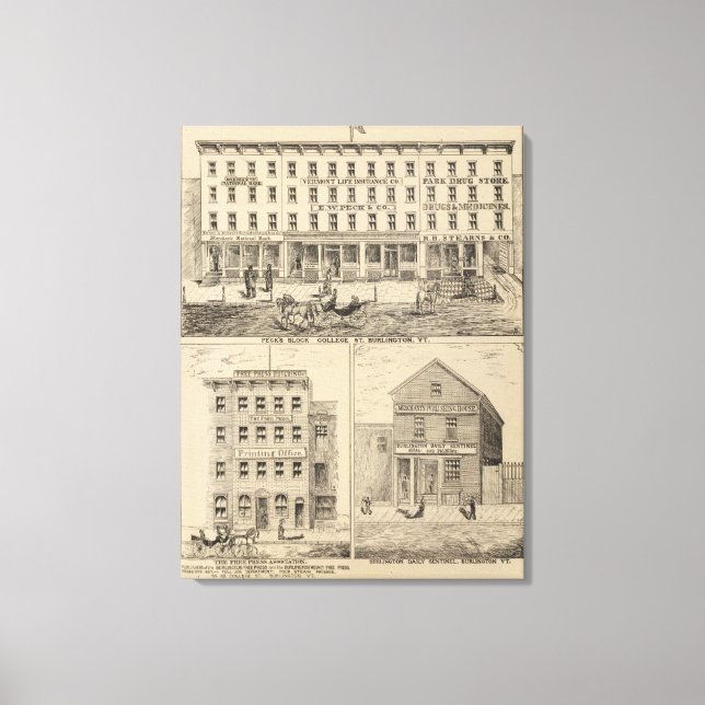 Peck's Block Canvas Print (Front)