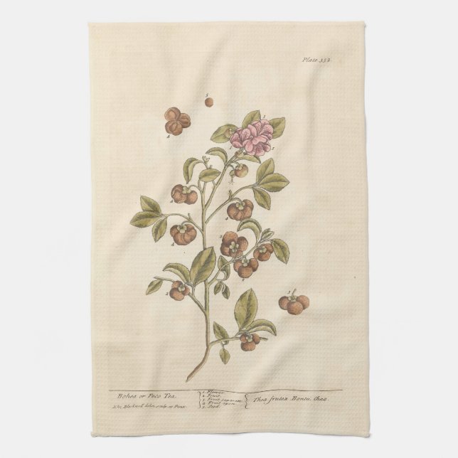 Peco Tea by Elizabeth Blackwell Tea Towel (Vertical)