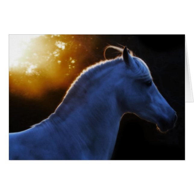 Pecos In Evening Light (Front Horizontal)