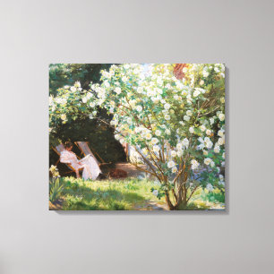 Peder Severin Kroyer - Roses Canvas Print