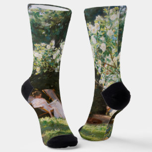 Peder Severin Kroyer - Roses Socks