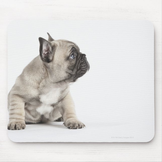 Pedigree puppy mouse mat (Front)