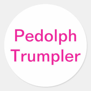 Pedolph Trumpler Splash-Art Hankamer Artjunkhaus Classic Round Sticker