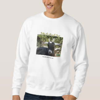 Pedro in the spring sweatshirt