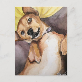 Pedro the Chiweenie Postcard