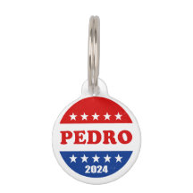 Pedro Voter Button 2024 Elections USA