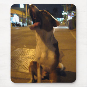 Pee Mai ... Soi Dog, Thailand Mouse Mat