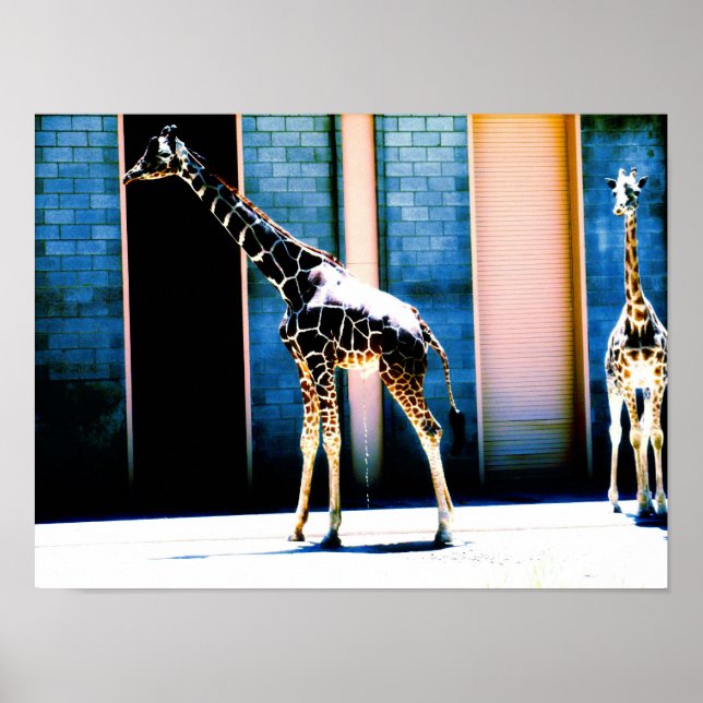 Peeing Giraffe Poster (Front)