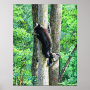 Peek-a-Bear Poster