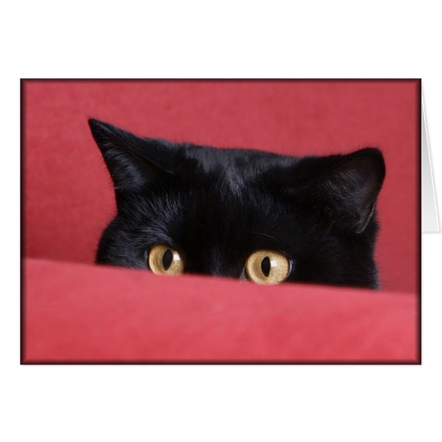 Peek-a-Boo (Front Horizontal)