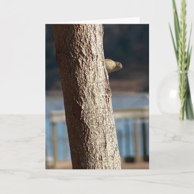 peek-a-boo birthday card (Front)