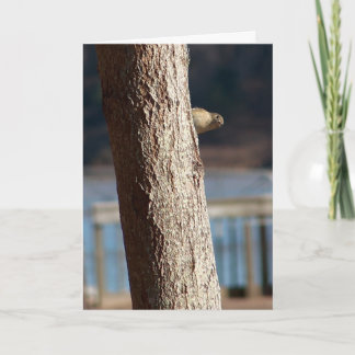 peek-a-boo birthday card