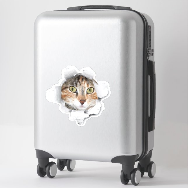 Peek a Boo Cat Luggage (Suitcase)