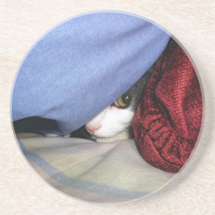 Peek a Boo Coaster