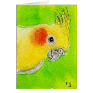 Peek-a-boo Cockatiel