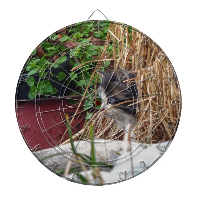 Peek-a-Boo Dartboard (Front)
