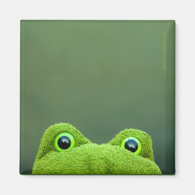 Peek-a-Boo Frog | Square Magnet Design (Front)