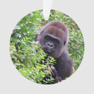 Peek-A-Boo Gorilla Ornament